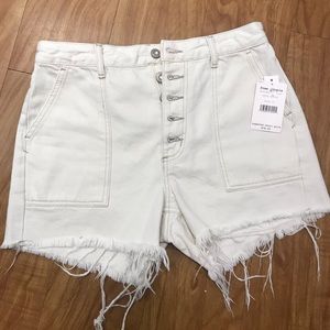 NWT Free People Jesse Carpenter Shorts